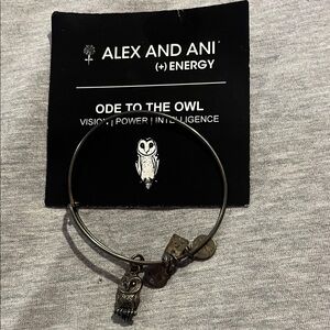 Alex and Ani Silver Owl Charm Bangle